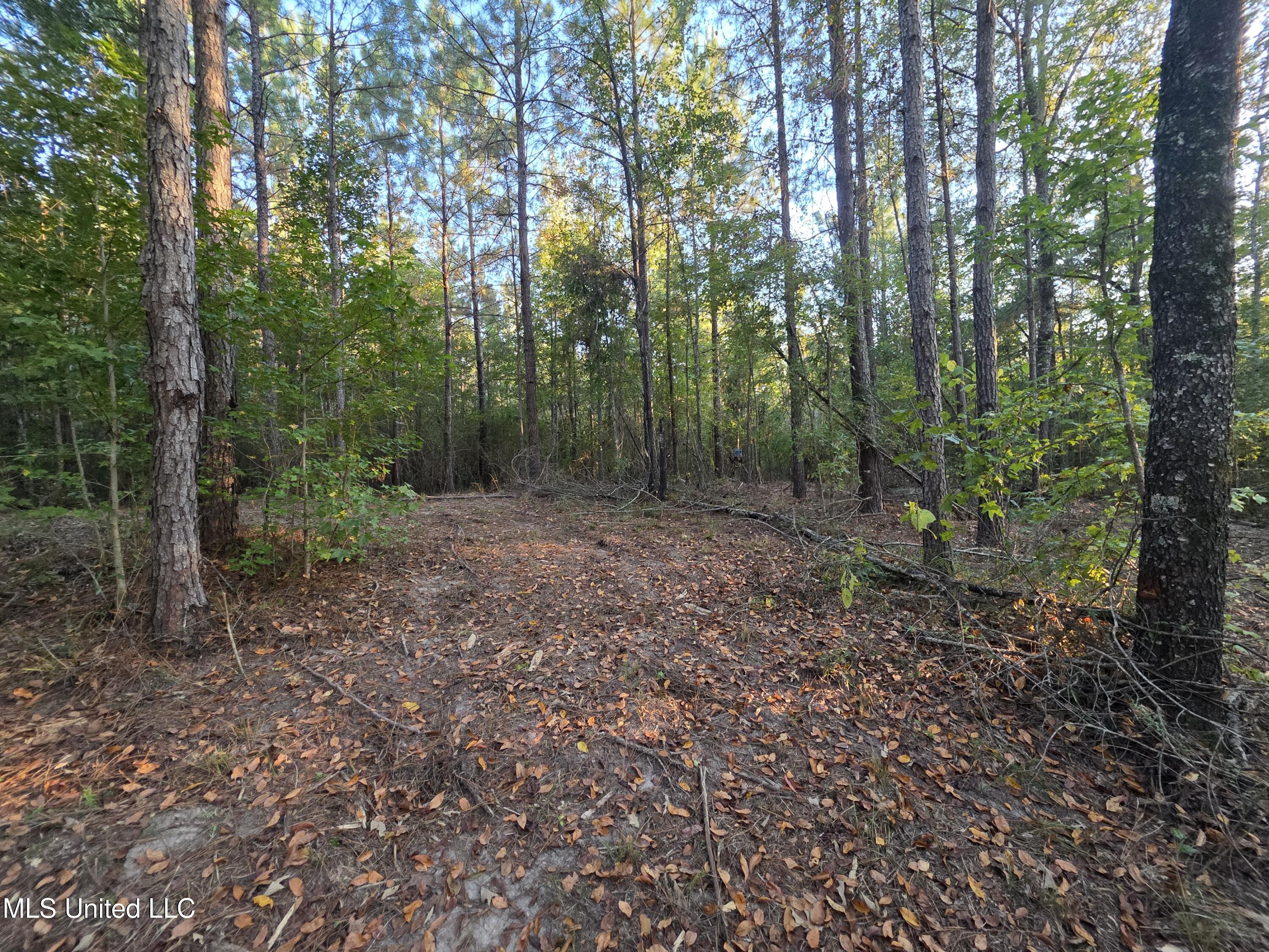 1067 Williams Road Wesson, MS 39191 - Photo 14 of 31 18514