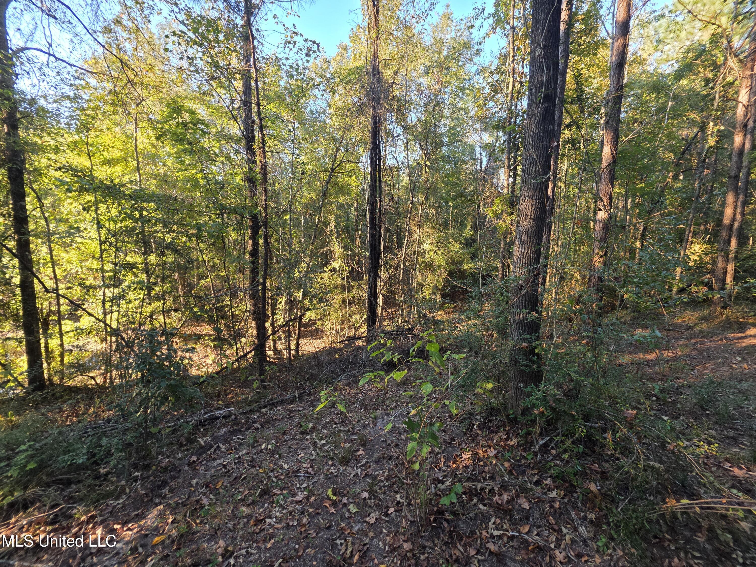 1067 Williams Road Wesson, MS 39191 - Photo 15 of 31 18512