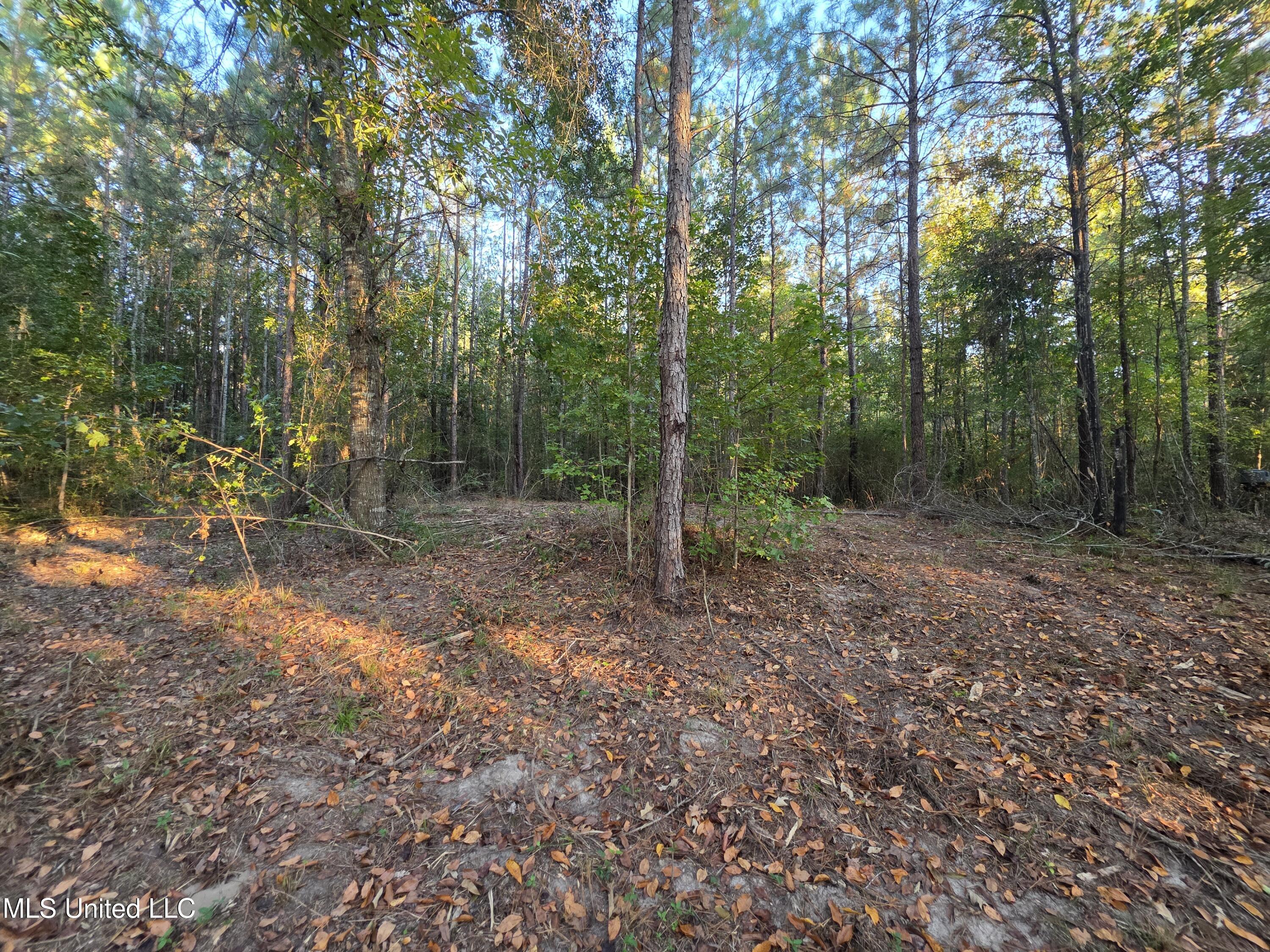 1067 Williams Road Wesson, MS 39191 - Photo 16 of 31 18513