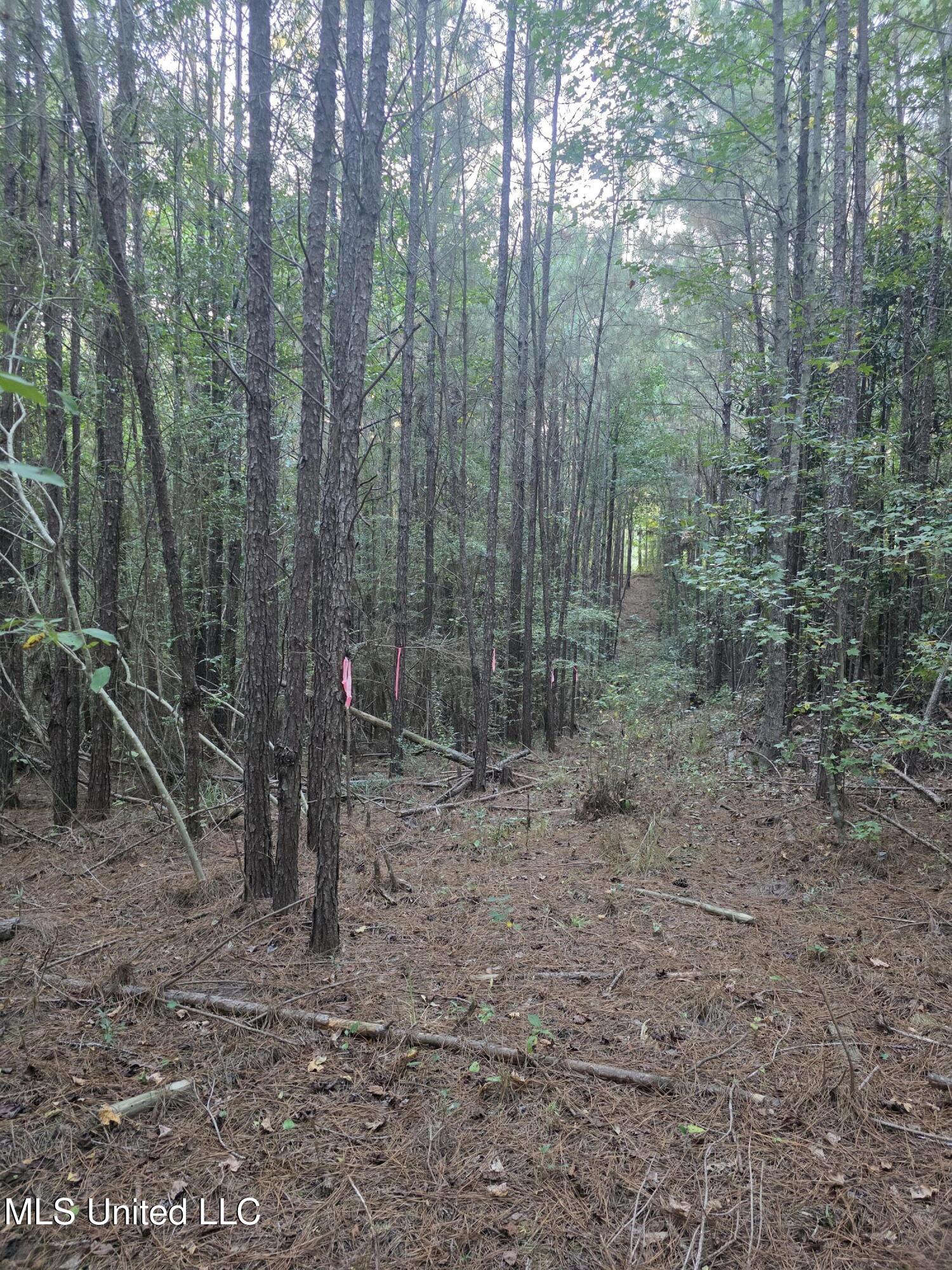 1067 Williams Road Wesson, MS 39191 - Photo 17 of 31 18522