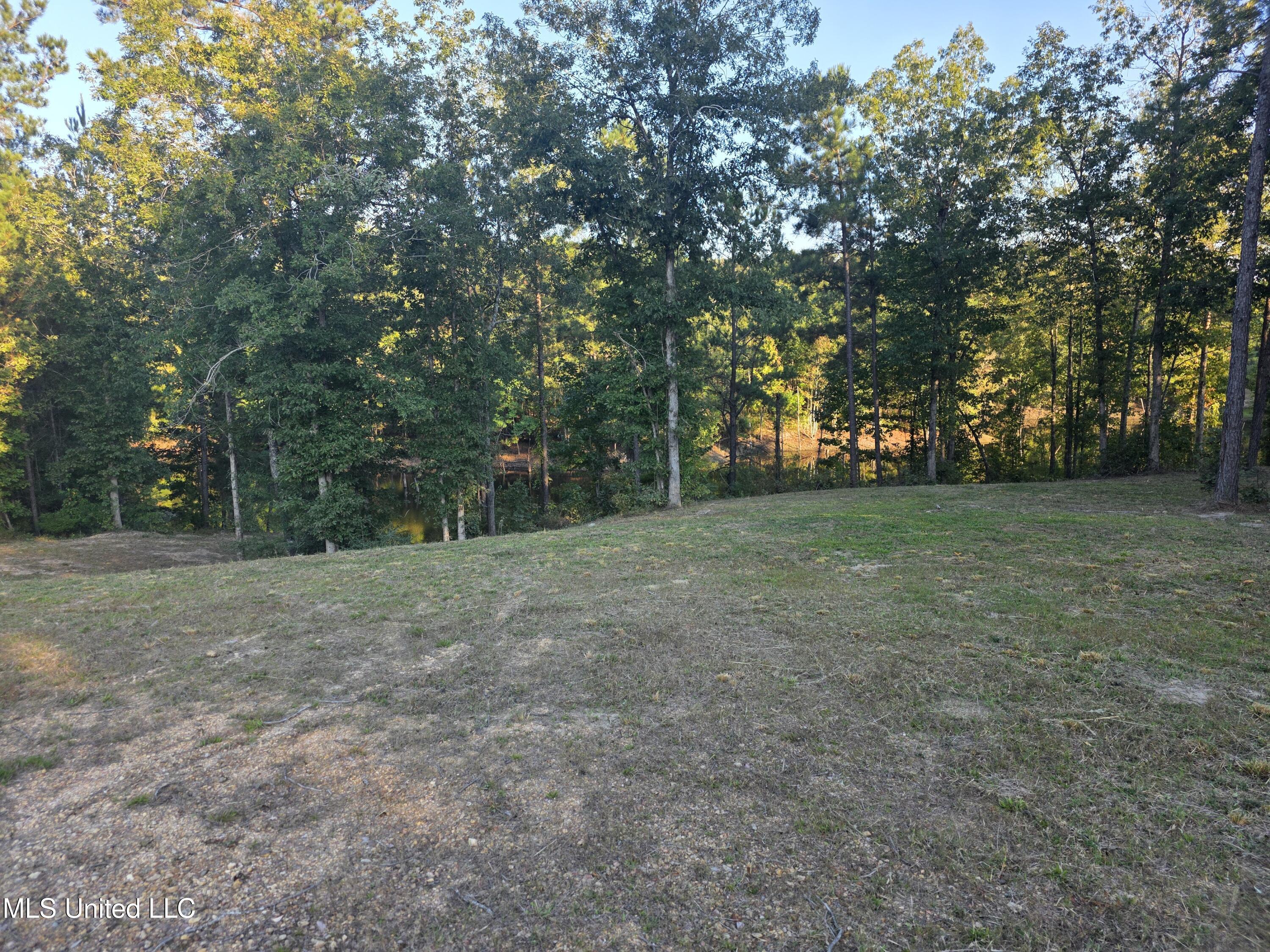 1067 Williams Road Wesson, MS 39191 - Photo 18 of 31 18478