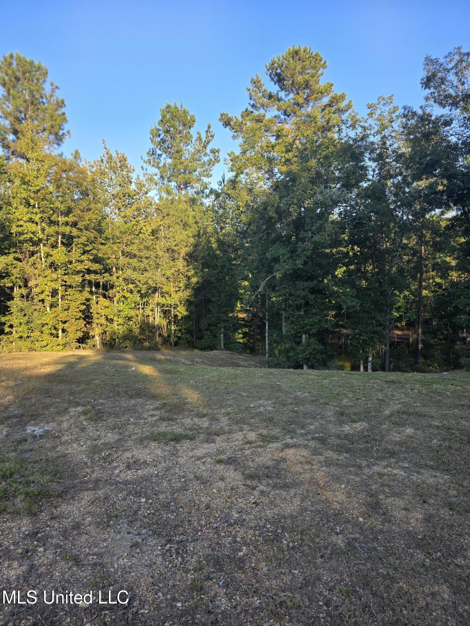 1067 Williams Road Wesson, MS 39191 - Photo 19 of 31 18480