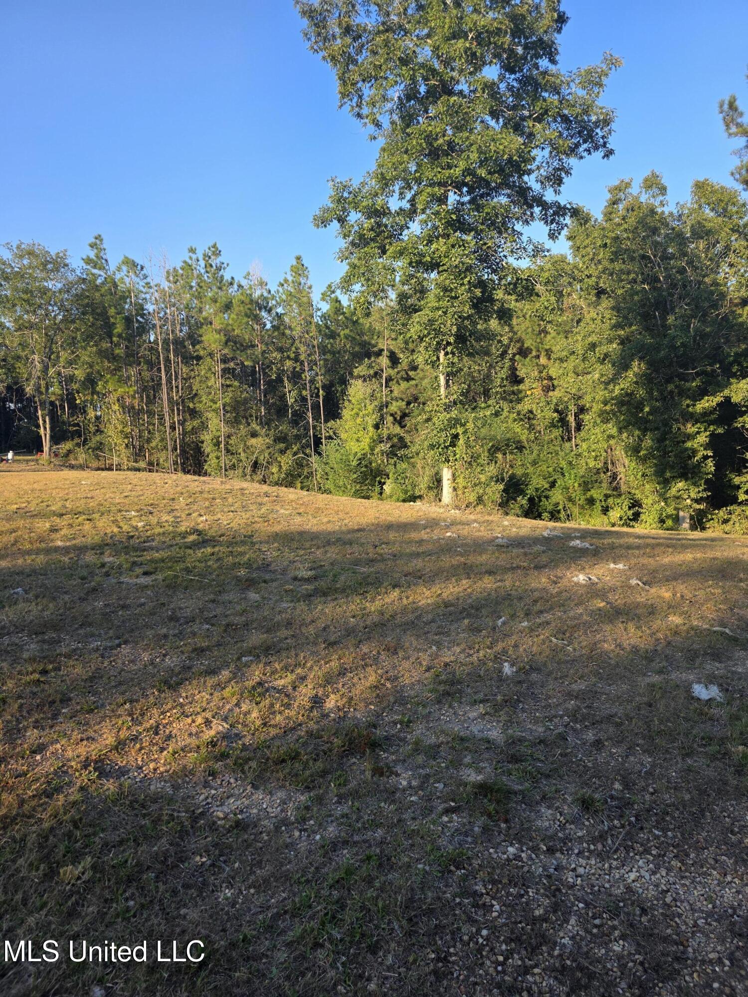 1067 Williams Road Wesson, MS 39191 - Photo 20 of 31 18481