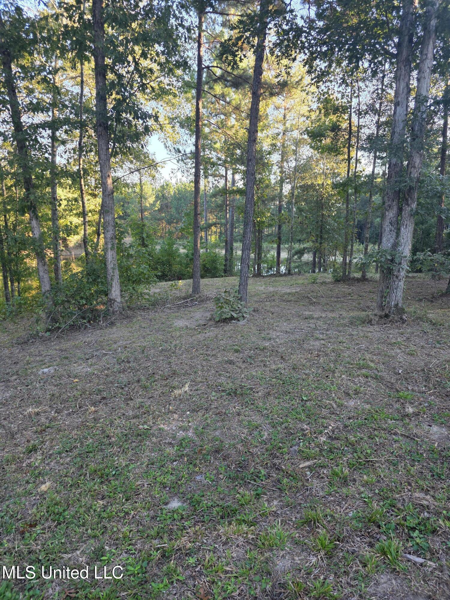 1067 Williams Road Wesson, MS 39191 - Photo 21 of 31 18482
