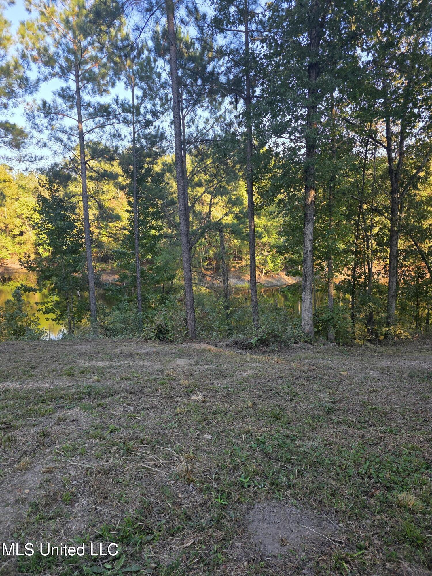 1067 Williams Road Wesson, MS 39191 - Photo 22 of 31 18483