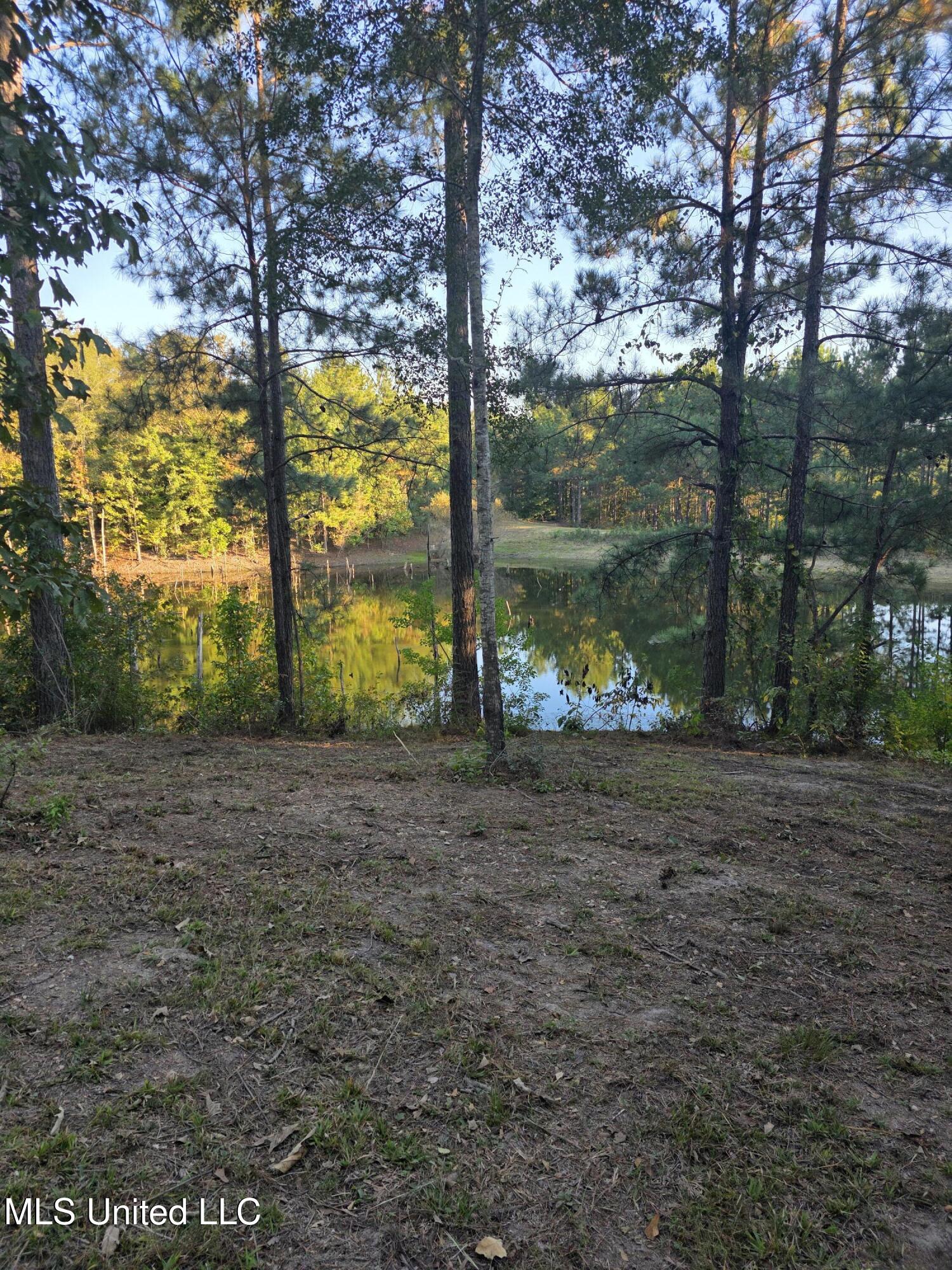 1067 Williams Road Wesson, MS 39191 - Photo 23 of 31 18485