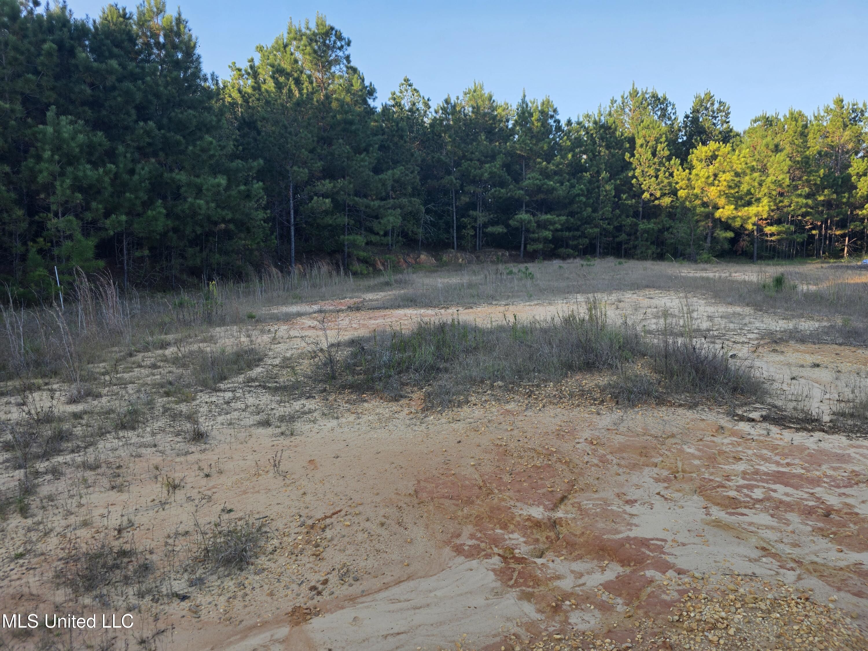 1067 Williams Road Wesson, MS 39191 - Photo 24 of 31 18486