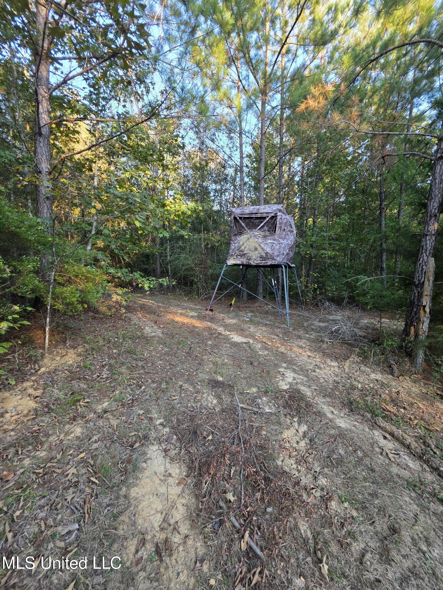 1067 Williams Road Wesson, MS 39191 - Photo 26 of 31 18504