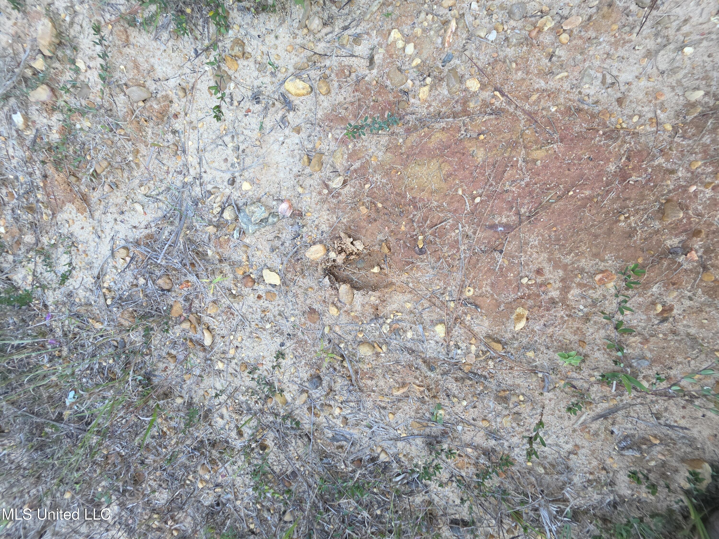 1067 Williams Road Wesson, MS 39191 - Photo 27 of 31 18503