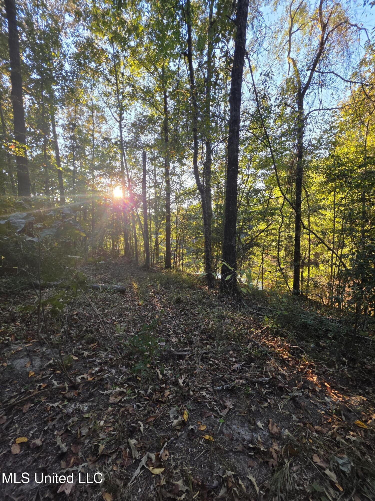 1067 Williams Road Wesson, MS 39191 - Photo 28 of 31 18509