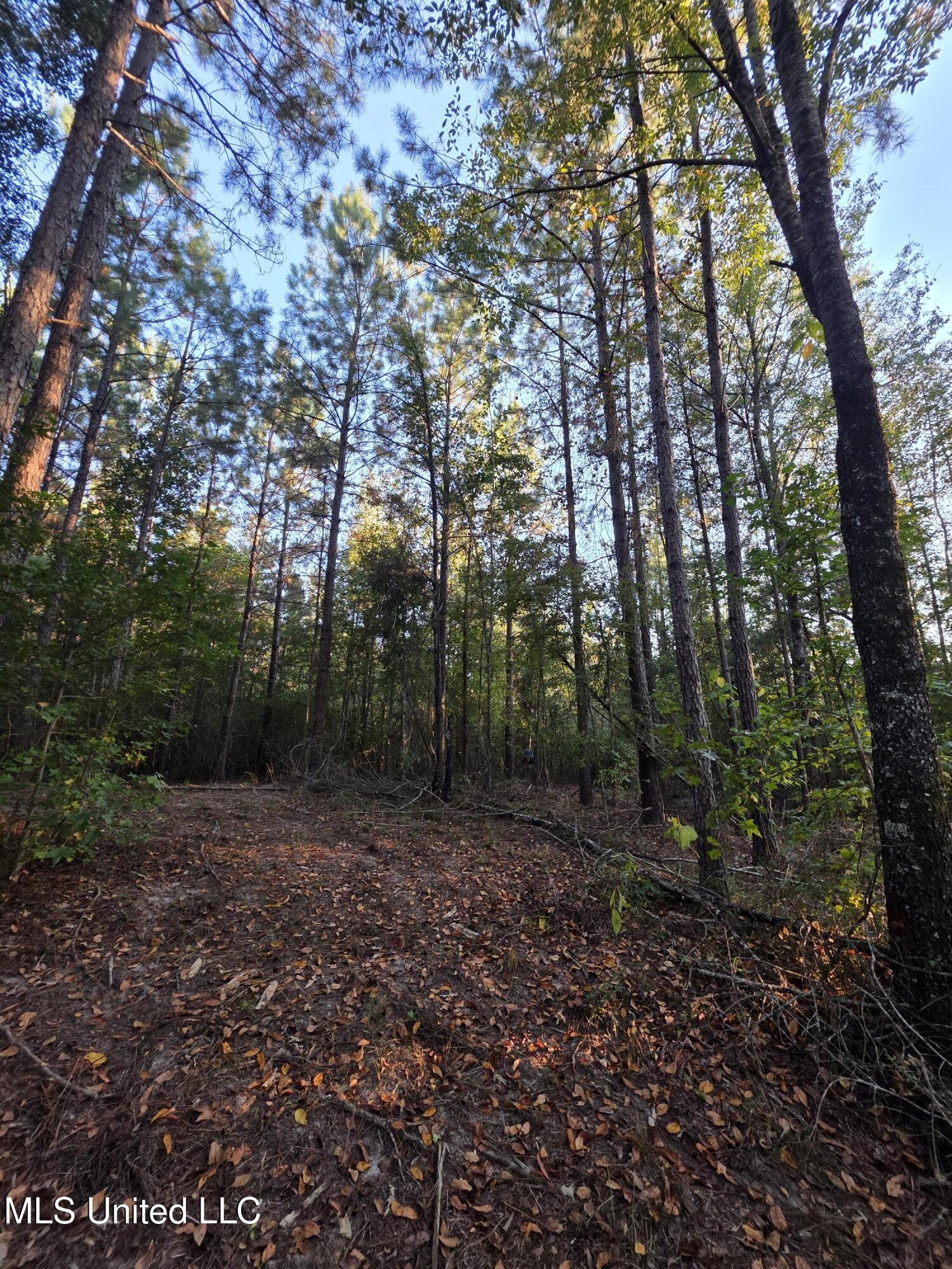 1067 Williams Road Wesson, MS 39191 - Photo 29 of 31 18515