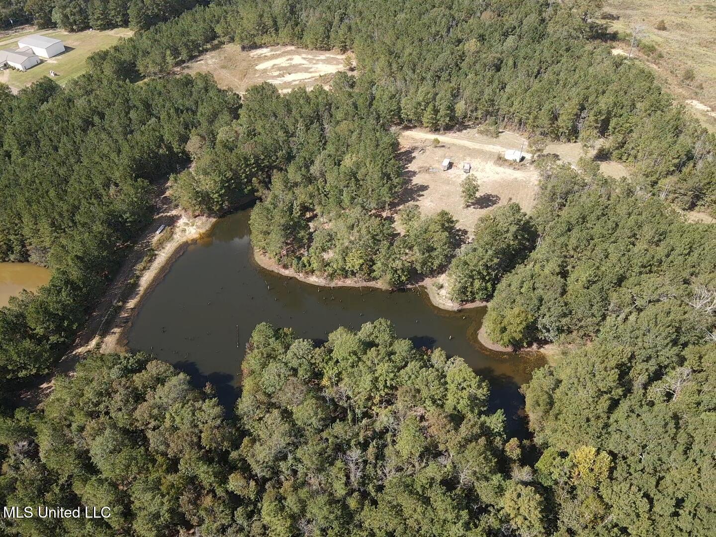 1067 Williams Road Wesson, MS 39191 - Photo 3 of 31 18556