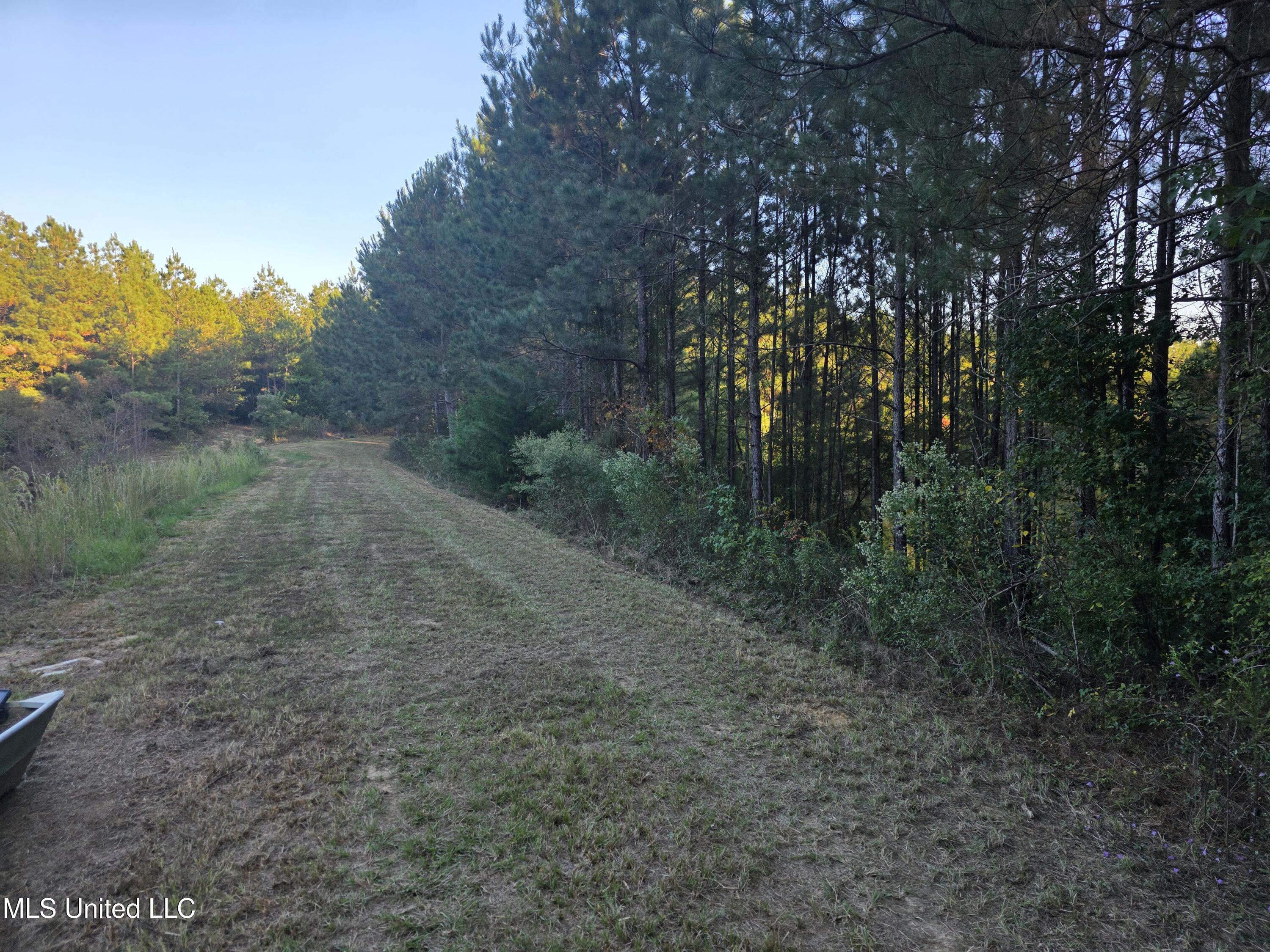 1067 Williams Road Wesson, MS 39191 - Photo 31 of 31 18494