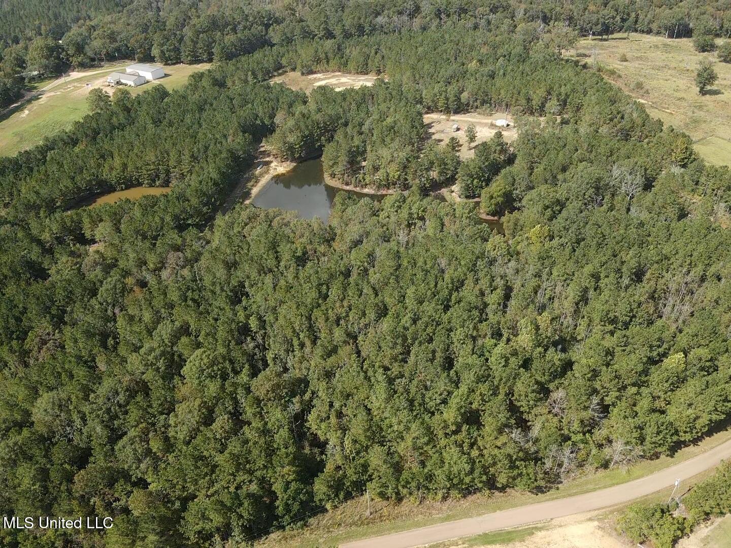 1067 Williams Road Wesson, MS 39191 - Photo 4 of 31 18553