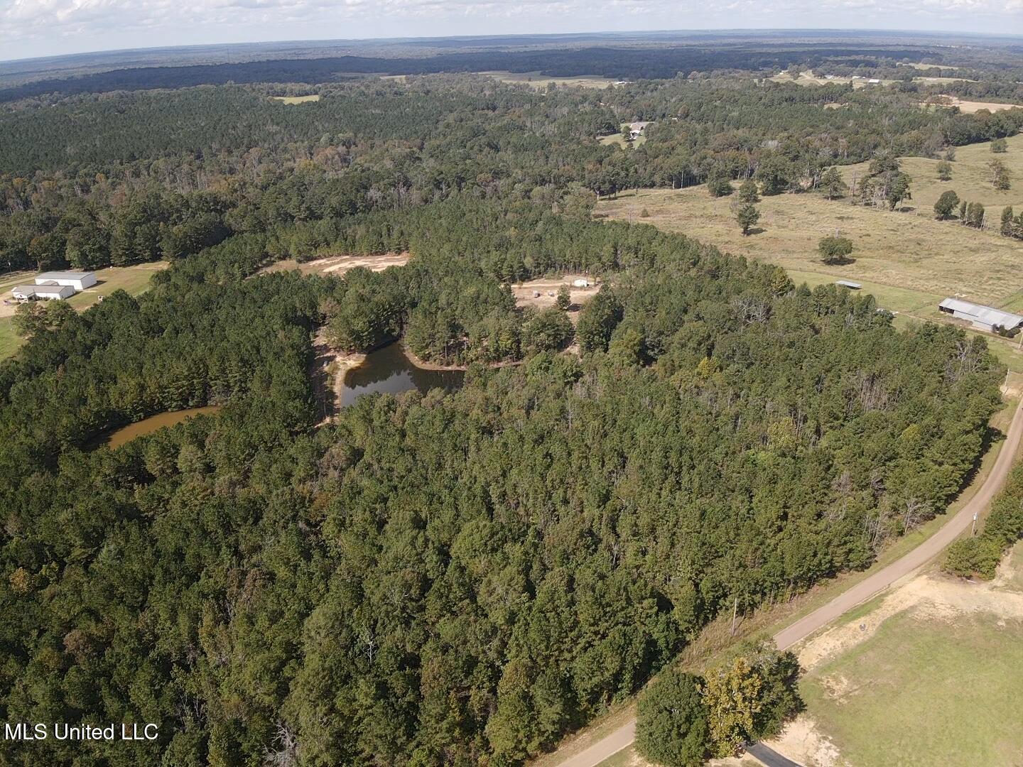 1067 Williams Road Wesson, MS 39191 - Photo 5 of 31 18550