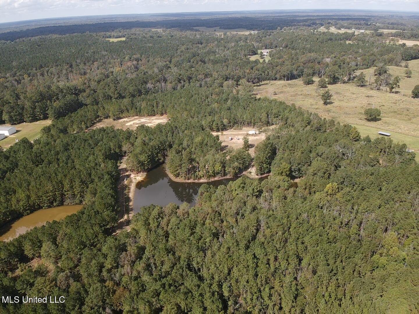 1067 Williams Road Wesson, MS 39191 - Photo 6 of 31 18548