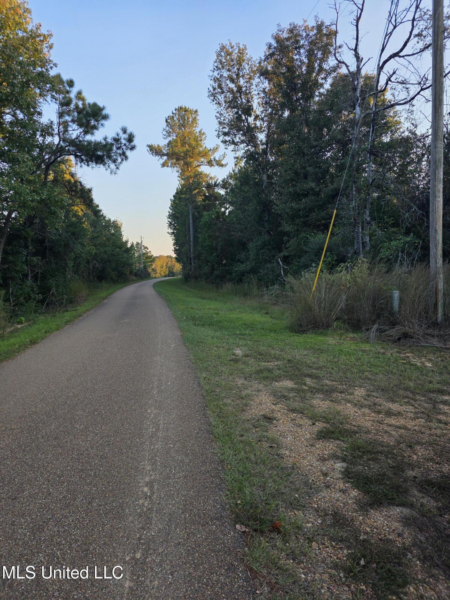 1067 Williams Road Wesson, MS 39191 - Photo 7 of 31 18529