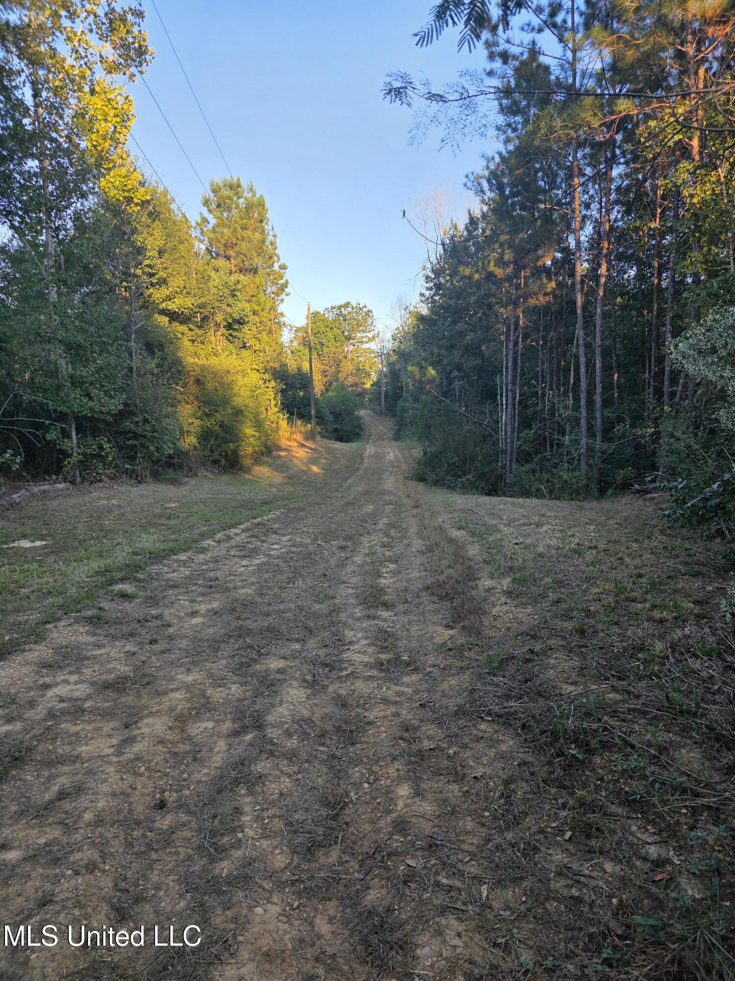 1067 Williams Road Wesson, MS 39191 - Photo 9 of 31 18528