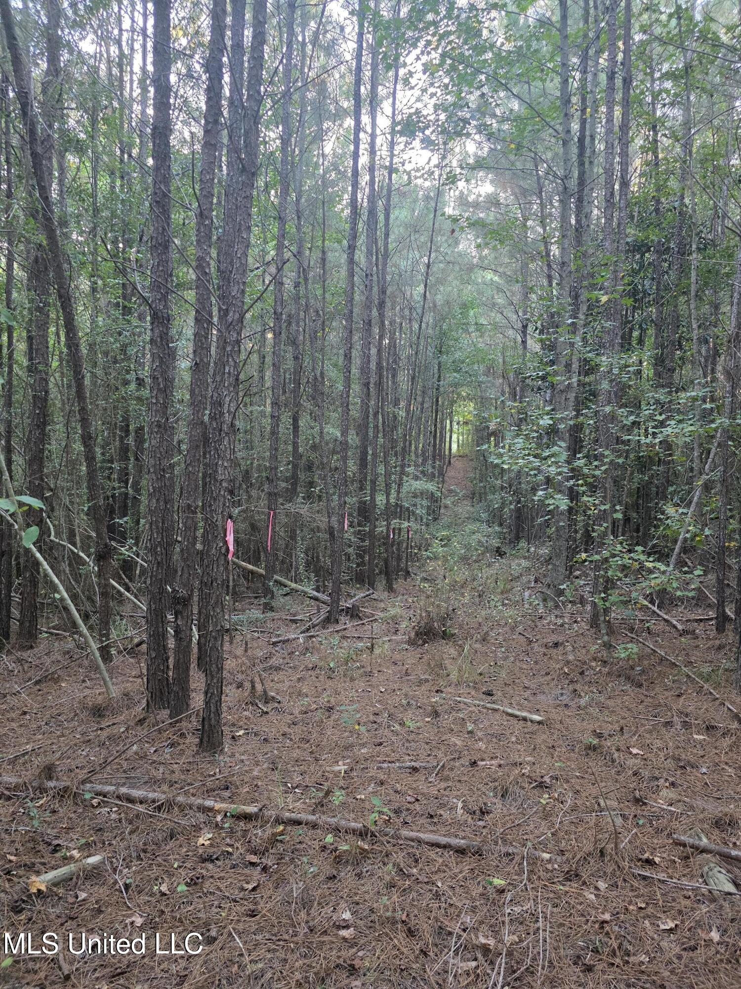 1067 Williams Road Wesson, MS 39191 - Photo 10 of 31 18523