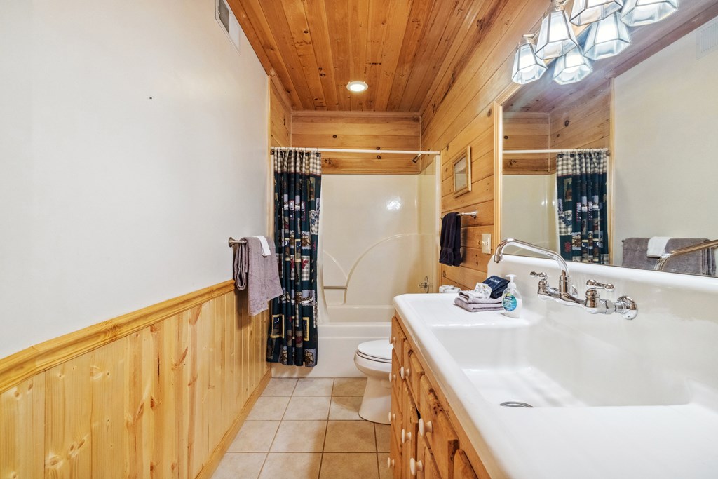 1600 My Mountain Road Morganton, GA 30560 - Photo 24 of 50 a bathroom with a sink a mirror and a bathtub