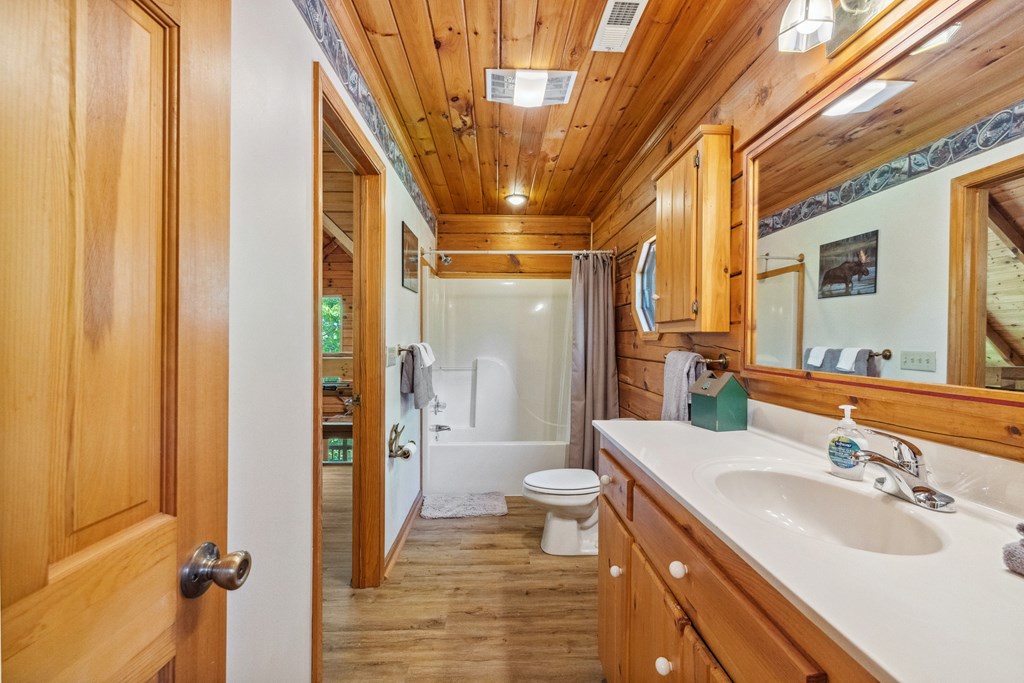 1600 My Mountain Road Morganton, GA 30560 - Photo 26 of 50 a bathroom with a sink a toilet a mirror and shower