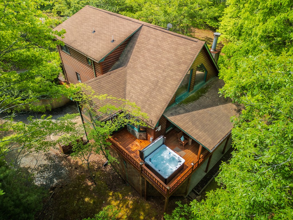 1600 My Mountain Road Morganton, GA 30560 - Photo 3 of 50 an aerial view of a house having yard