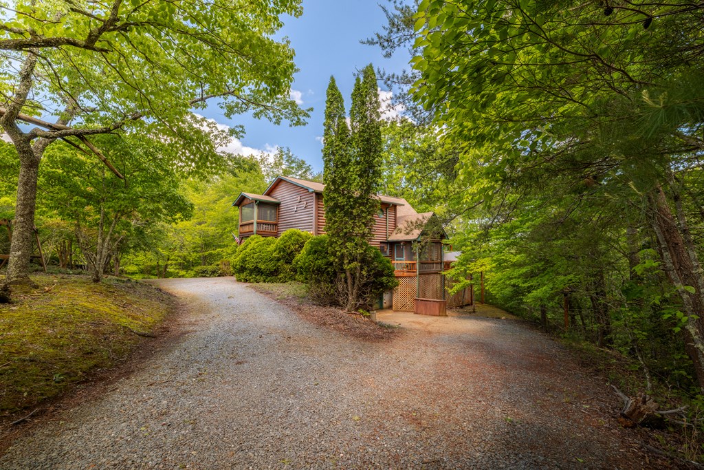 1600 My Mountain Road Morganton, GA 30560 - Photo 45 of 50 a view of a house with a street