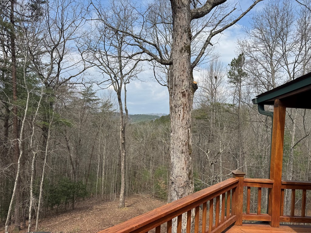 1600 My Mountain Road Morganton, GA 30560 - Photo 50 of 50 a view of a balcony with an outdoor space