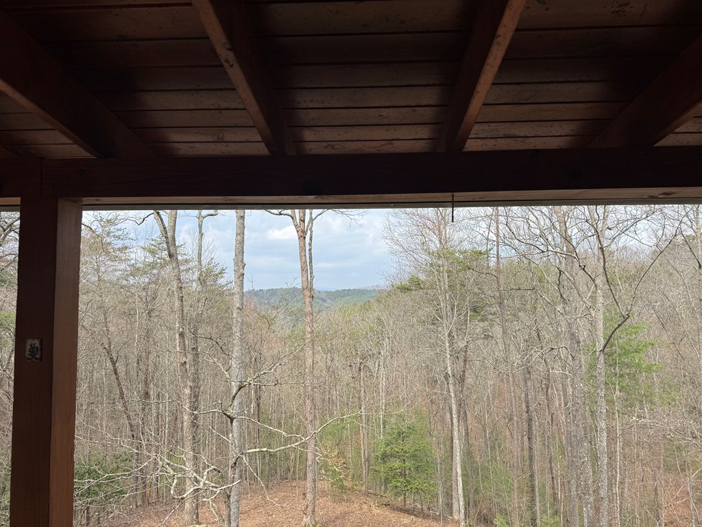 1600 My Mountain Road Morganton, GA 30560 - Photo 5 of 50 a view of window