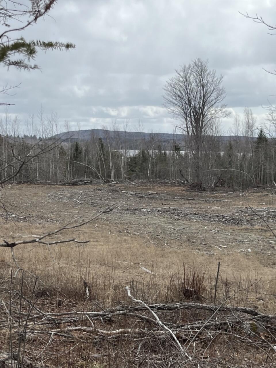 33 Rt 6 Highway Carroll Plt, ME 04487 - Photo 3 of 10