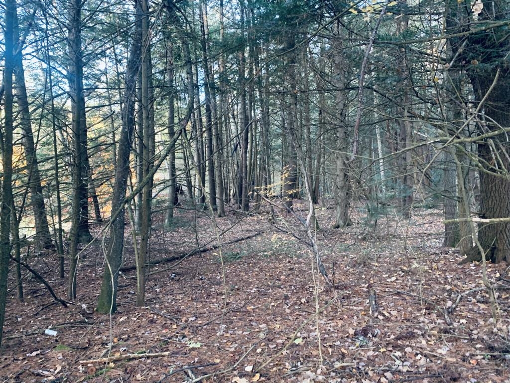 0 Comstock Road Alstead, NH 03602 - Photo 5 of 12