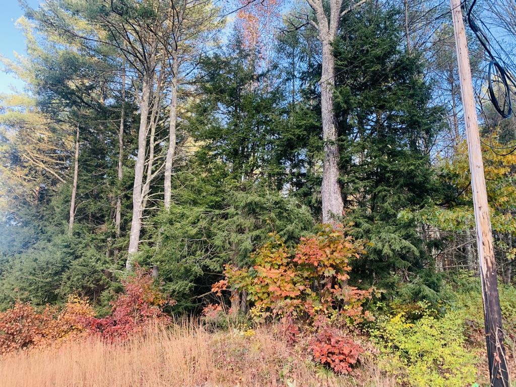 0 Comstock Road Alstead, NH 03602 - Photo 8 of 12