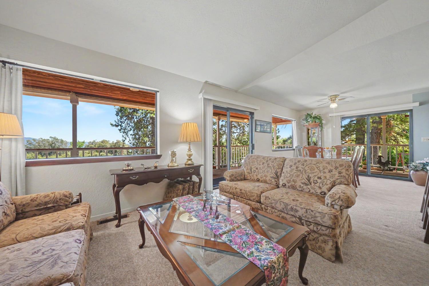 14206 Williams Road Pioneer, CA 95666 - Photo 13 of 96 Gallery Image 13