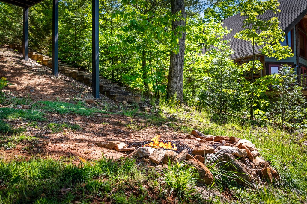 479 Big Timber Road Mineral Bluff, GA 30559 - Photo 54 of 60 a backyard of a house with lots of green space