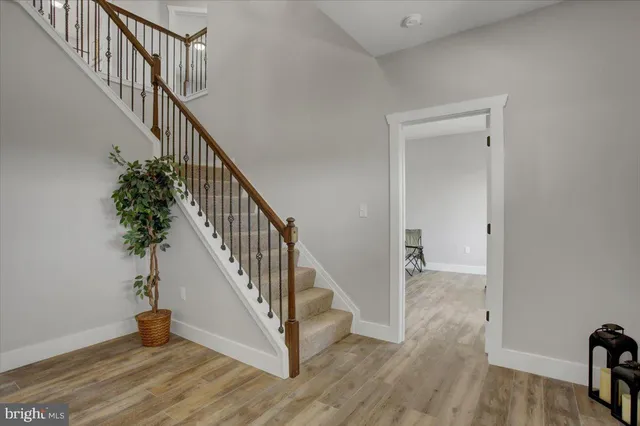 a view of staircase with wooden floor and a potted plant