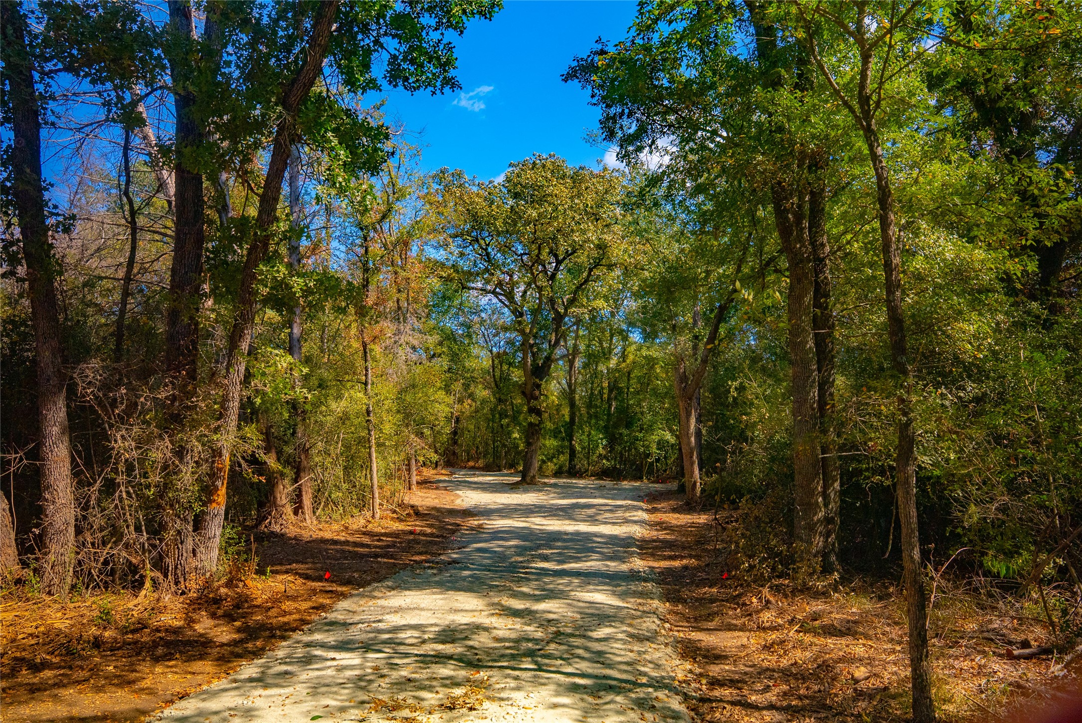 12320 Red Hill Road Hearne, TX 77859 - Photo 4 of 8 View of street featuring a wooded view