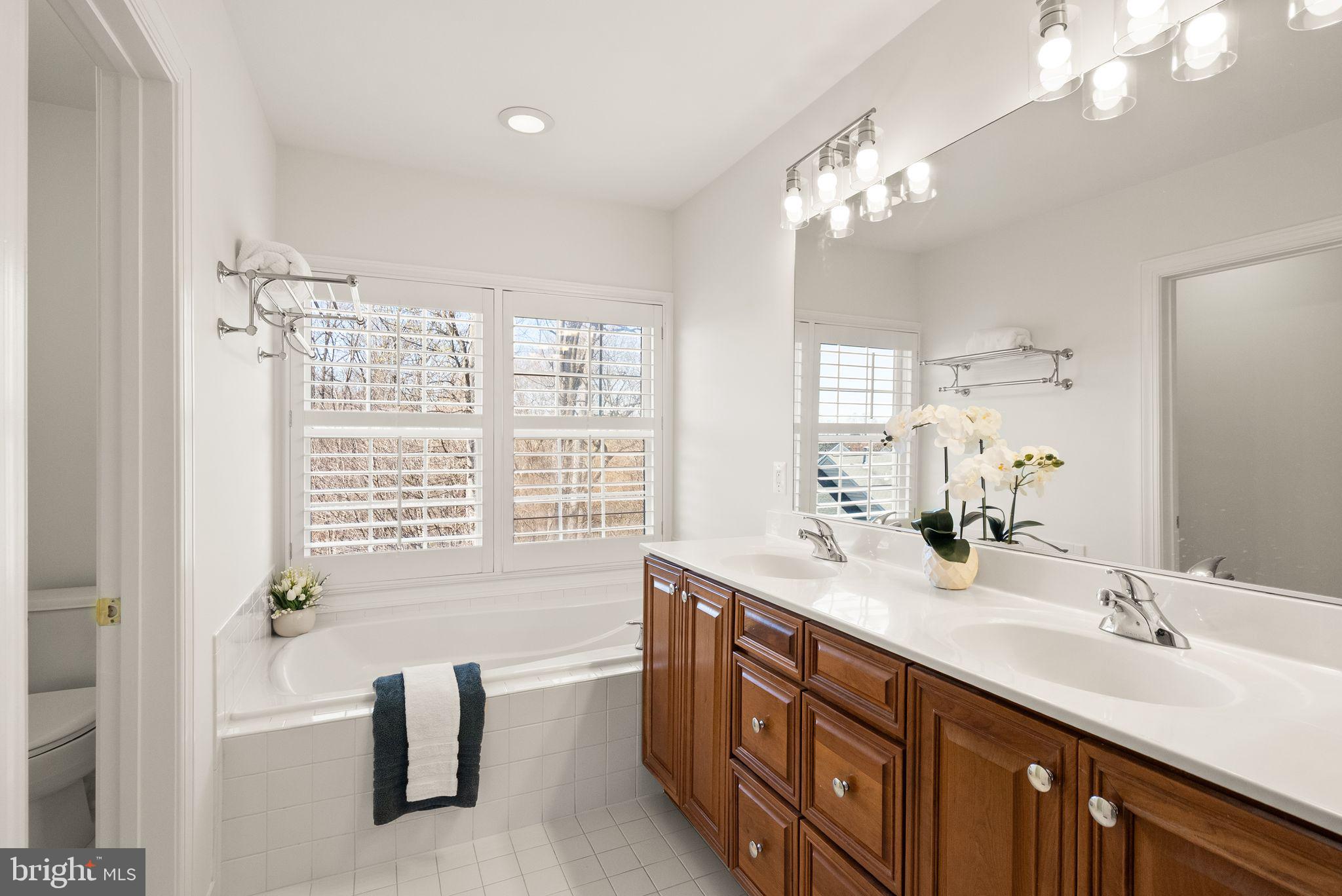 4132 Timber Log Way Fairfax, VA 22030 - Photo 51 of 69 a bathroom with a double vanity sink a large mirror and a bathtub
