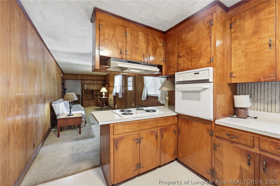 3993 McArthur Road Broadway, NC 27505 - Photo 10 of 50
