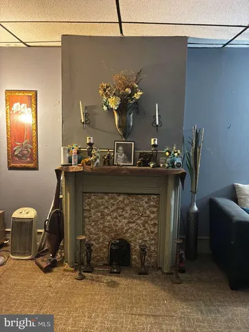 a living room with furniture a fireplace and a potted plant