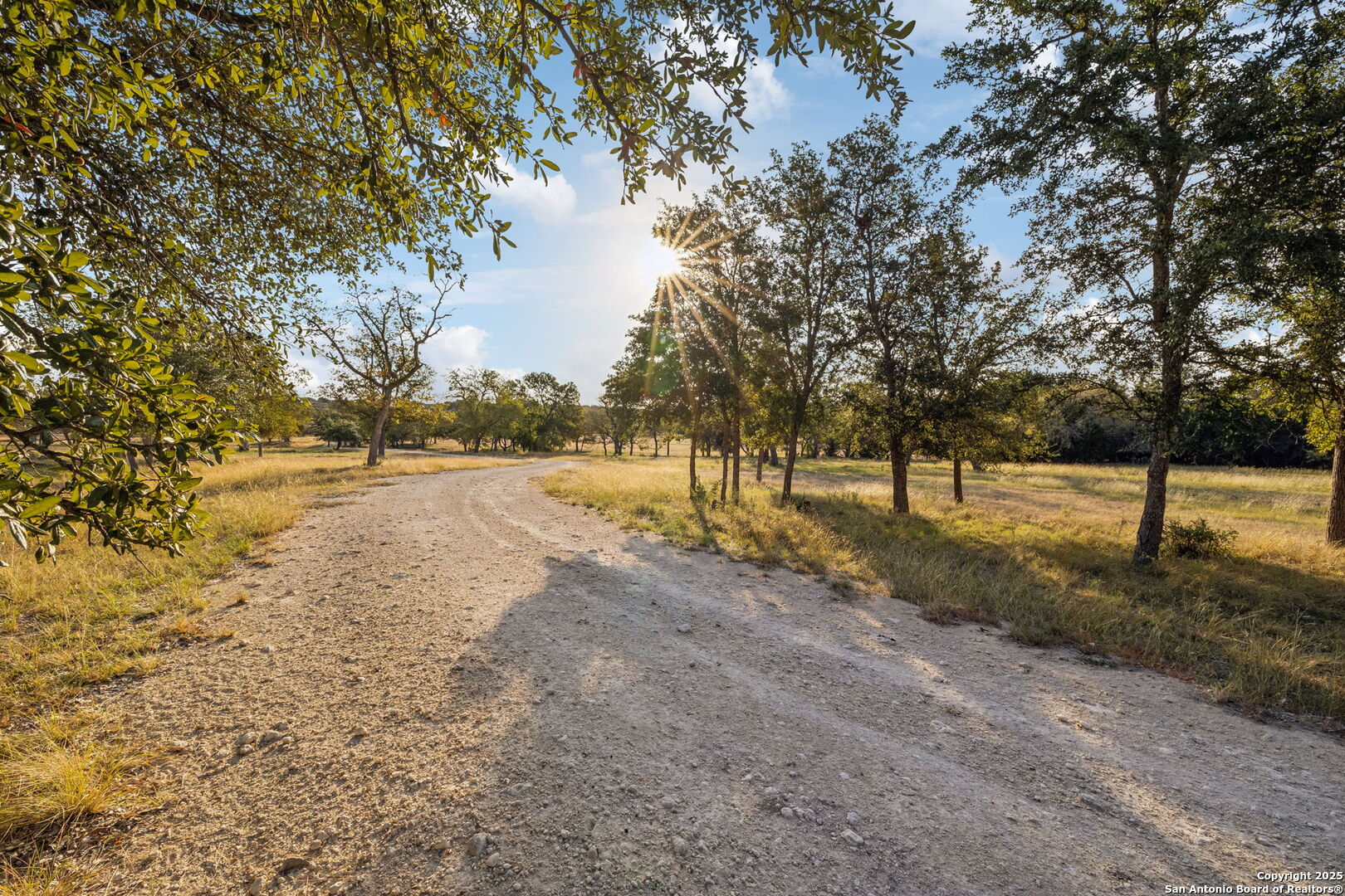 232 Stoneleigh Road Center Point, TX 78010 - Photo 27 of 34 a view of road with large trees