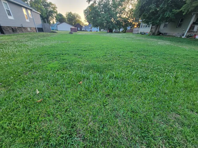 a view of a big yard with plants and large trees