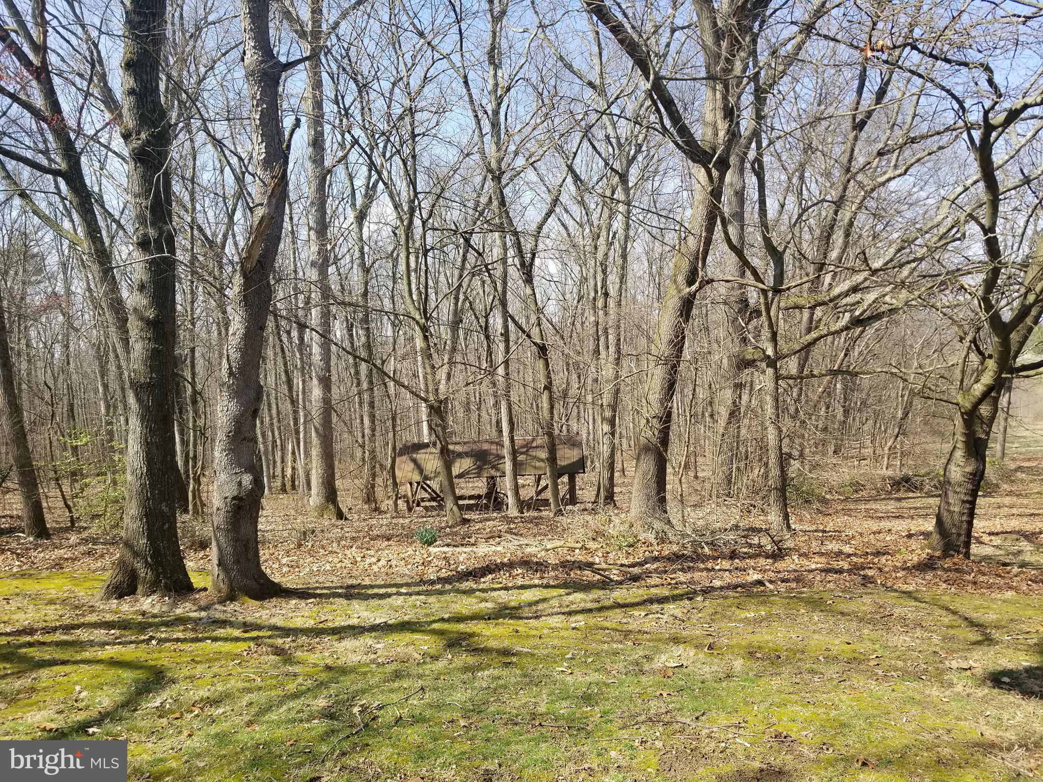 3600 Middle Ridge Road Newport, PA 17074 - Photo 9 of 40 Gallery Image 9