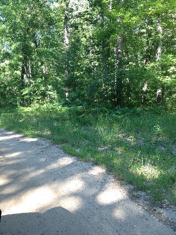 Tippy Dam Road Wellston, MI 49689 - Photo 6 of 7 Additional Photo