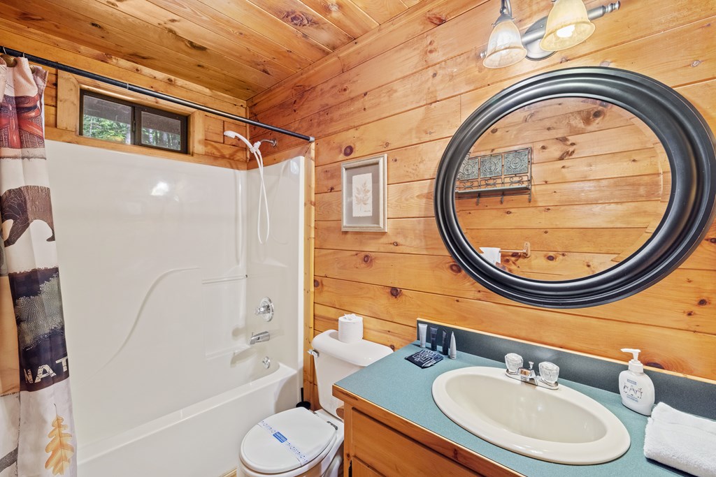 129 Cherokee Drive Blue Ridge, GA 30513 - Photo 13 of 26 a bathroom with a sink a toilet and a mirror