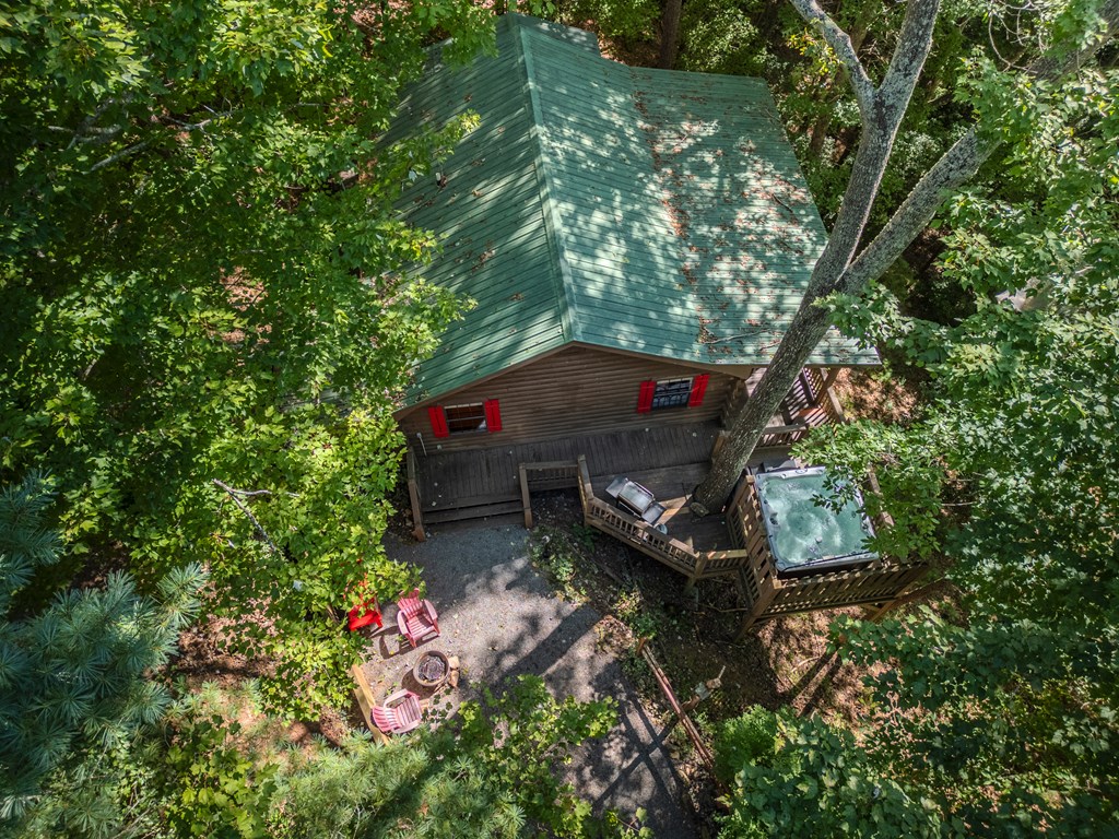 129 Cherokee Drive Blue Ridge, GA 30513 - Photo 21 of 26 an aerial view of a house with a yard basket ball court and outdoor seating