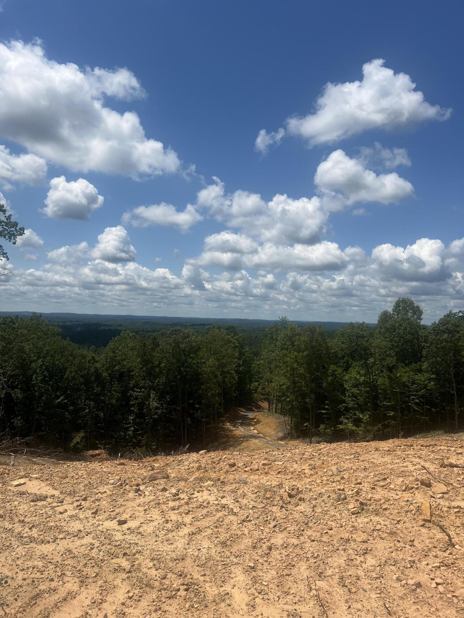 1250 Welcome Valley Road Benton, TN 37307 - Photo 39 of 42 IMG_0620