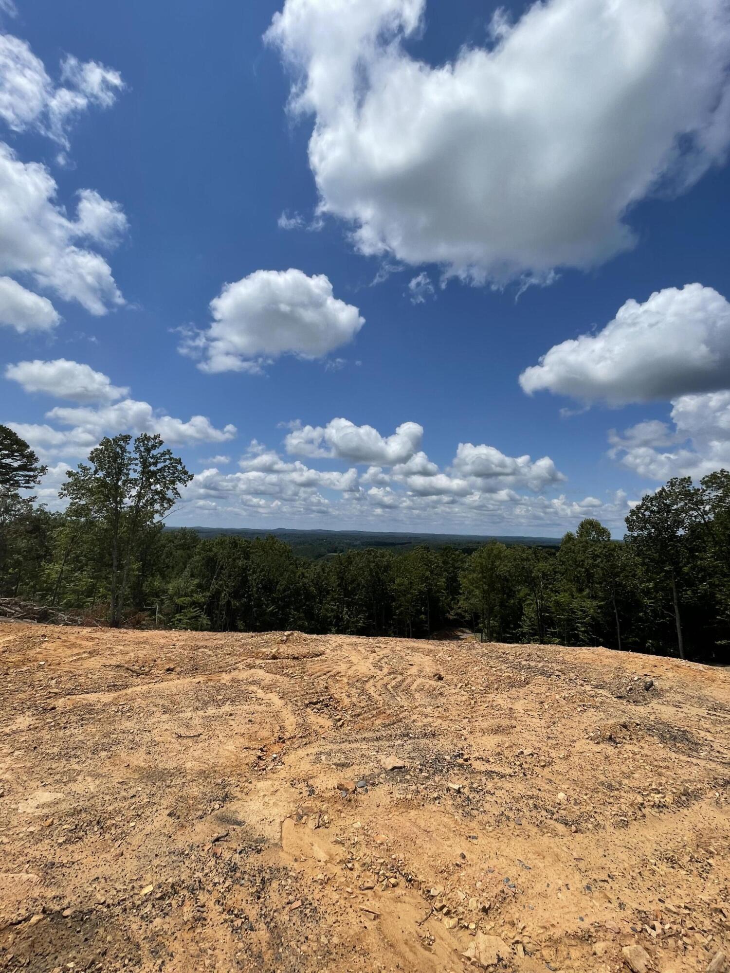 1250 Welcome Valley Road Benton, TN 37307 - Photo 40 of 42 IMG_1158