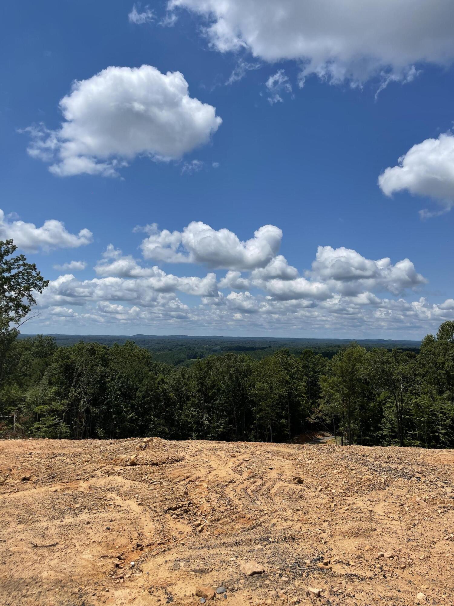 1250 Welcome Valley Road Benton, TN 37307 - Photo 41 of 42 IMG_1159