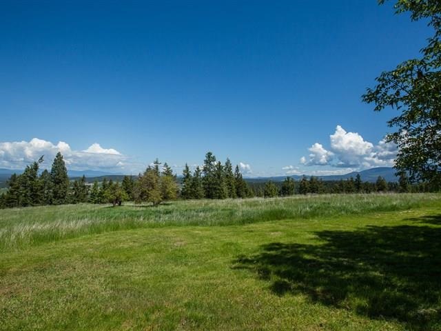 18305 North Greenbluff Road Colbert, WA 99005 - Photo 18 of 20