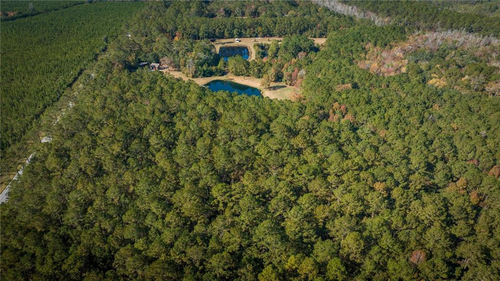 7.24-acres Harris Neck Road Northeast Townsend, GA 31331 - Photo 6 of 10